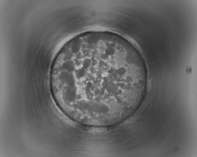 X0000115091183200911171210