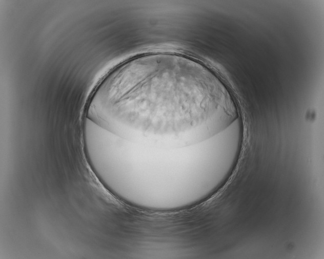 X0000115091184200911171210