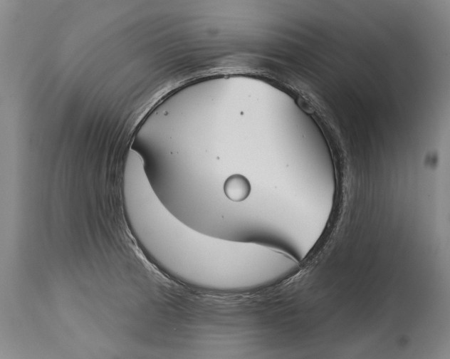 X0000115091185200911171210