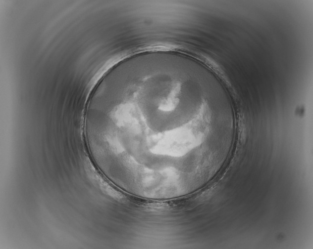 X0000115091186200911171210