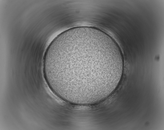 X0000115091187200911171210