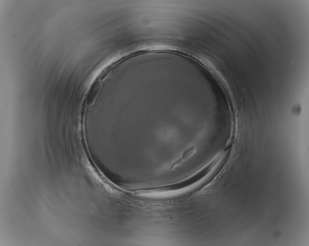 X0000115091189200911171210