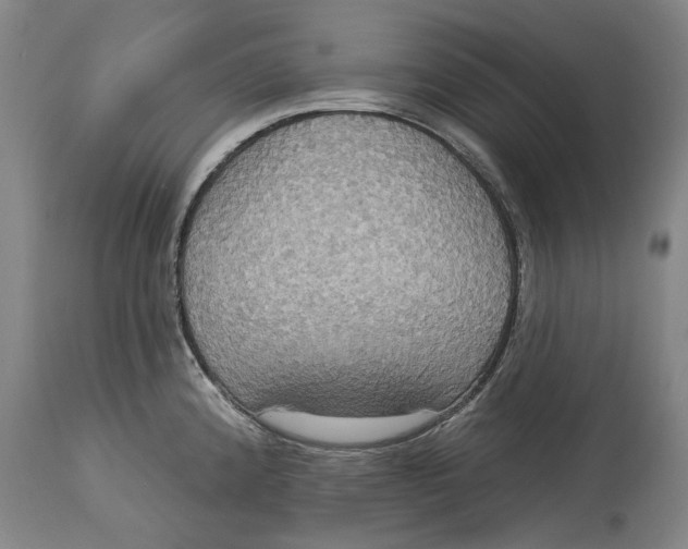X0000115091192200911171210