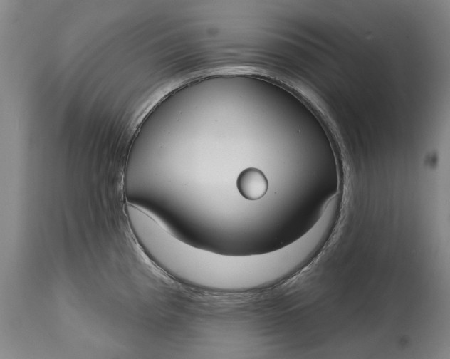 X0000115091193200911171210