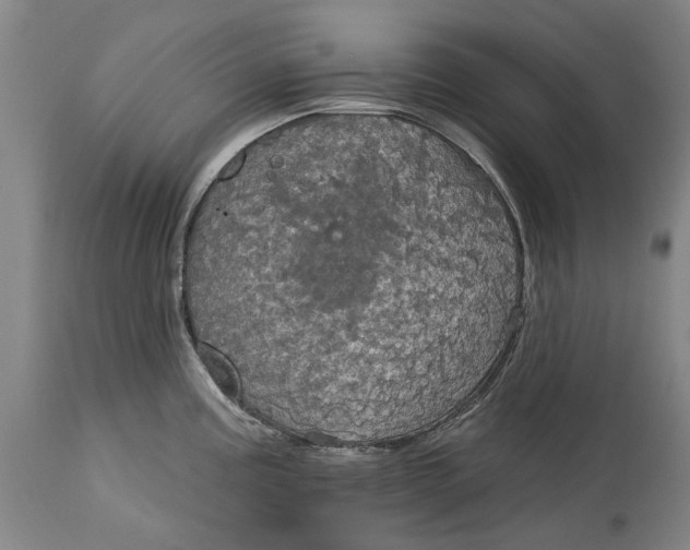 X0000115091195200911171210