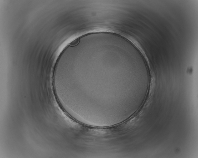 X0000115091197200911171210