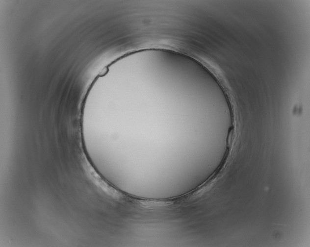 X0000115091200200911171210