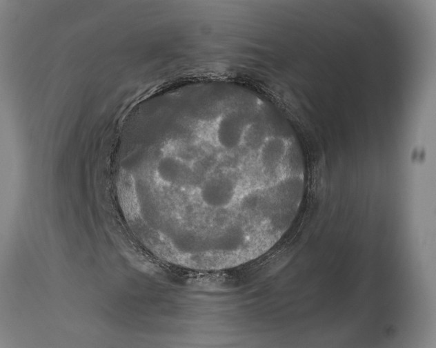 X0000115091201200911171209