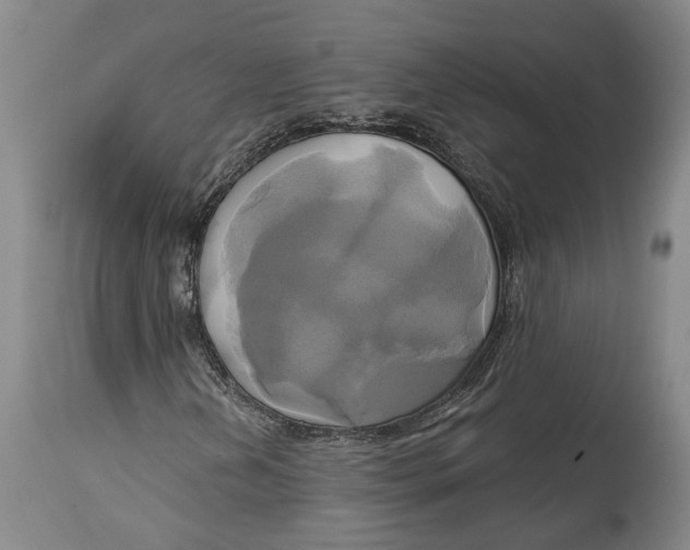 X0000115091202200911171209