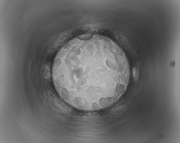 X0000115091203200911171209