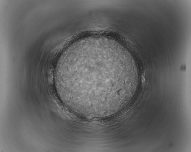 X0000115091204200911171209