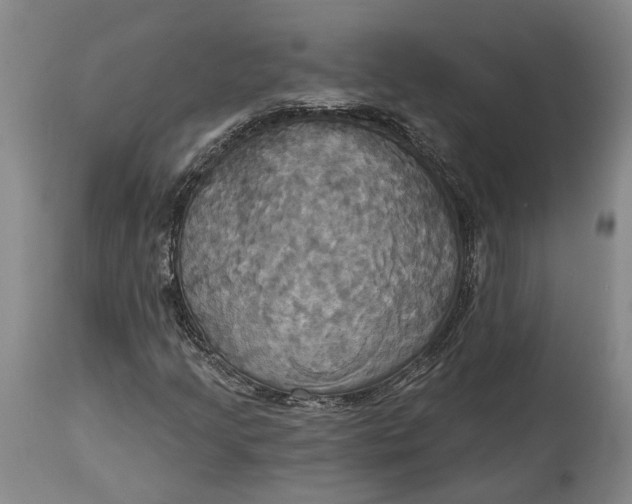X0000115091205200911171209