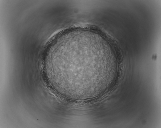 X0000115091206200911171209