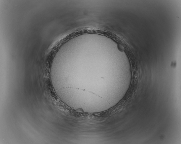 X0000115091207200911171209