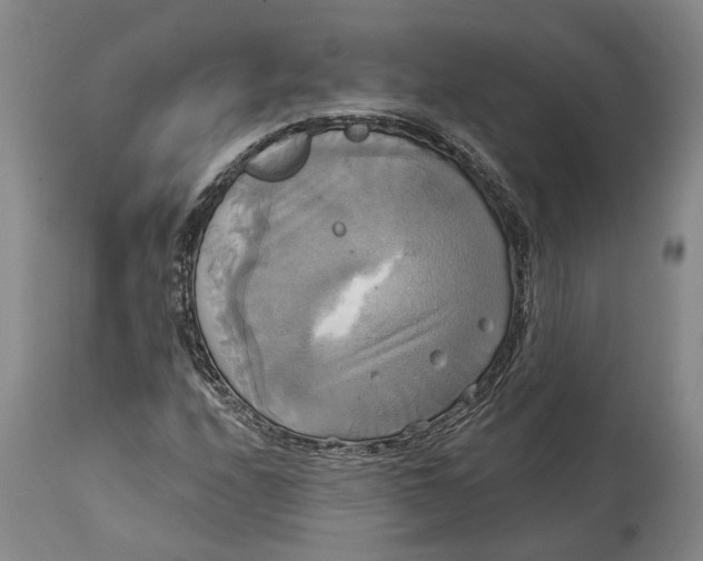 X0000115091208200911171209