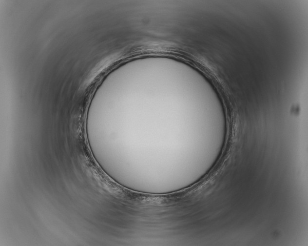 X0000115091211200911171209