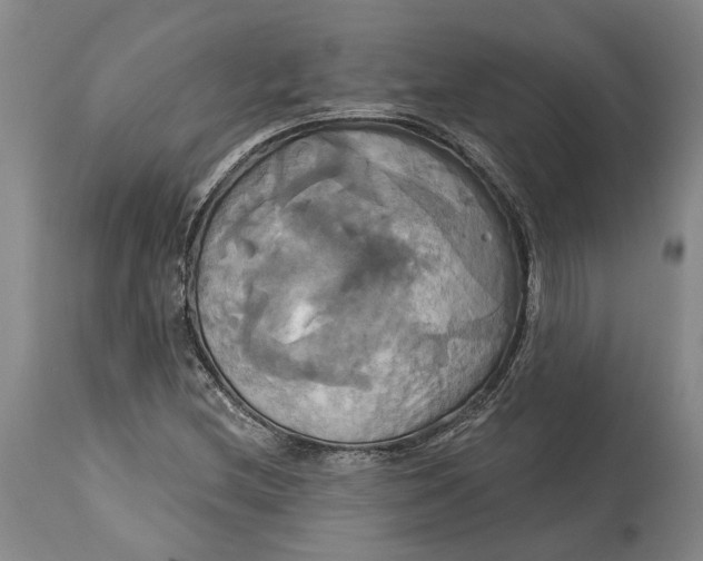 X0000115091212200911171209