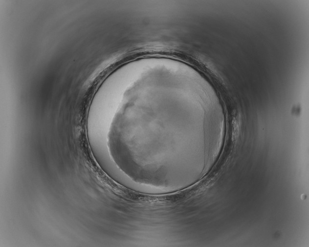 X0000115091213200911171209