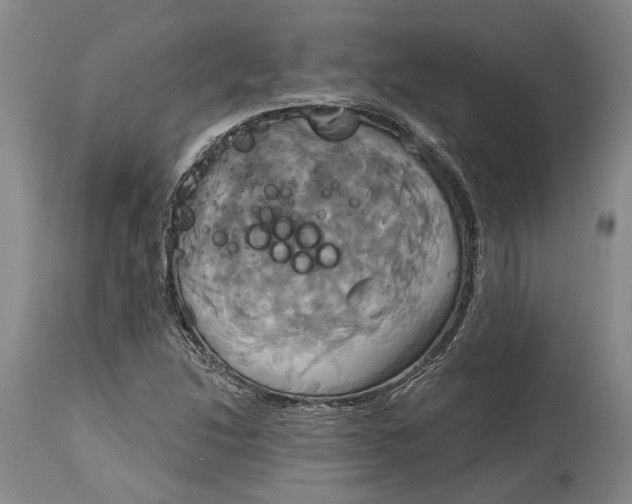 X0000115091214200911171209