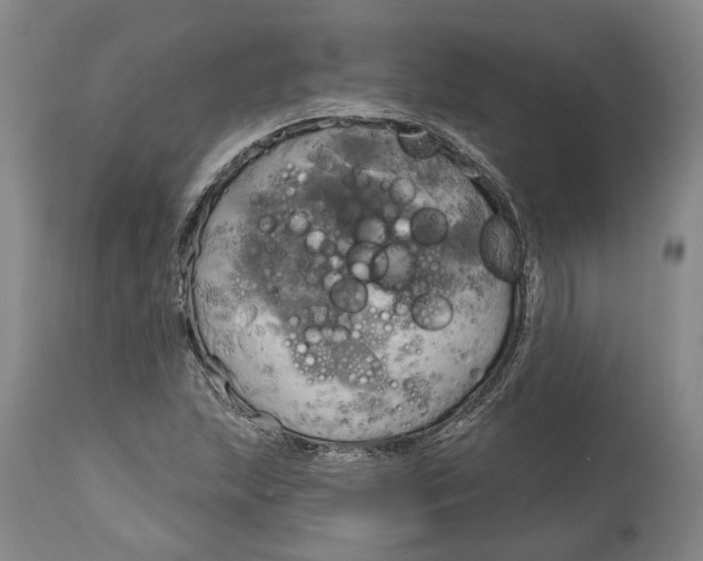X0000115091215200911171209