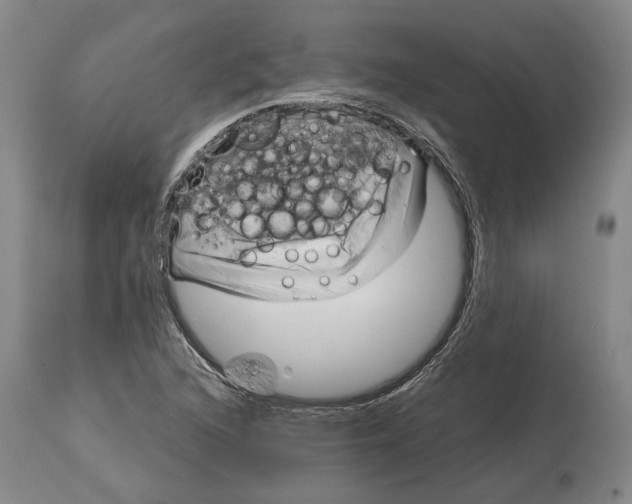 X0000115091216200911171209