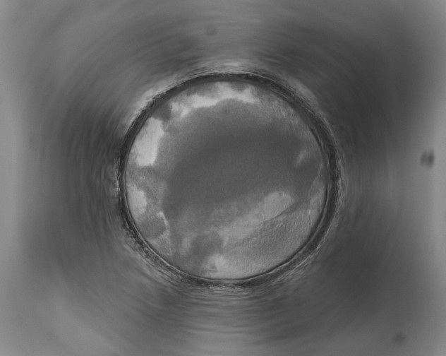 X0000115091218200911171209