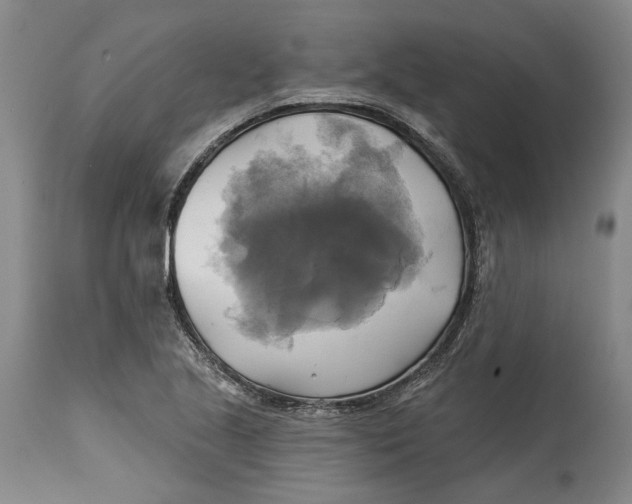 X0000115091221200911171209