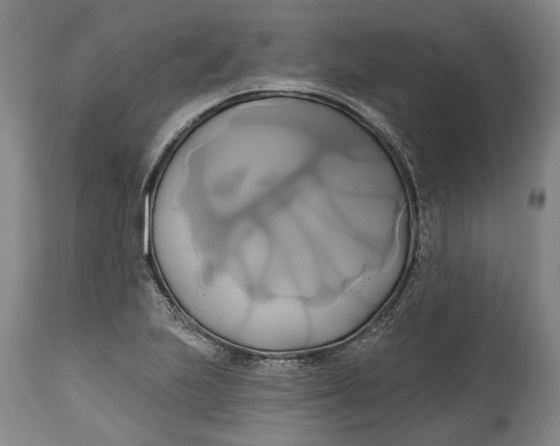 X0000115091223200911171210