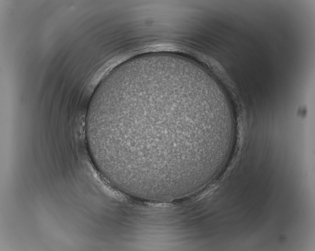 X0000115091225200911171210