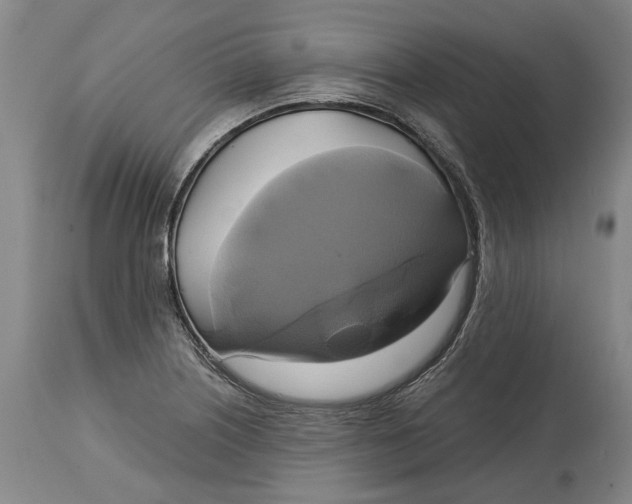 X0000115091226200911171210
