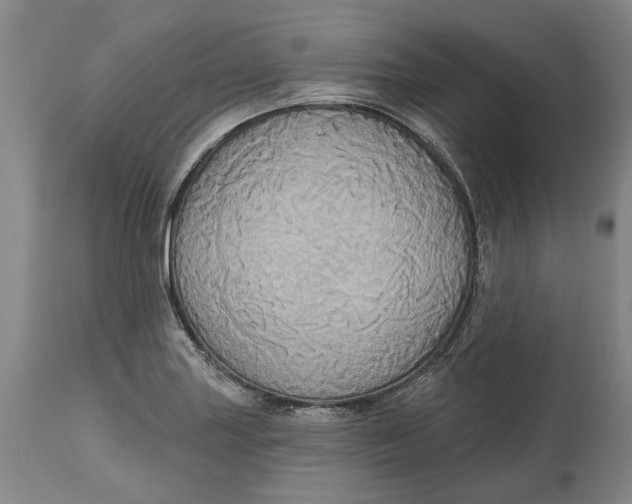 X0000115091227200911171210