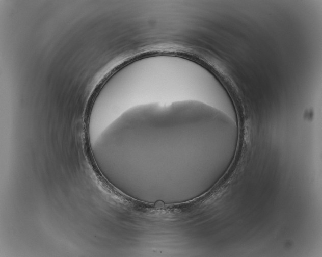 X0000115091229200911171210