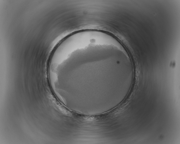 X0000115091230200911171210