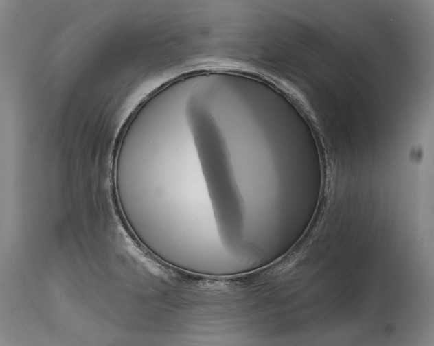 X0000115091231200911171210