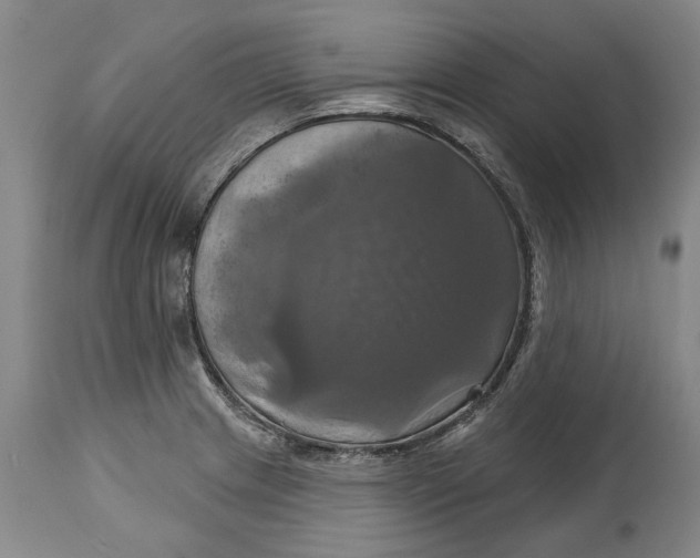 X0000115091233200911171210