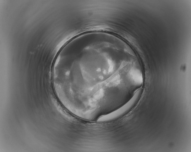 X0000115091234200911171210