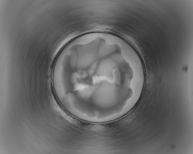 X0000115091235200911171210