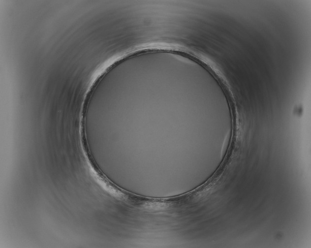 X0000115091237200911171210