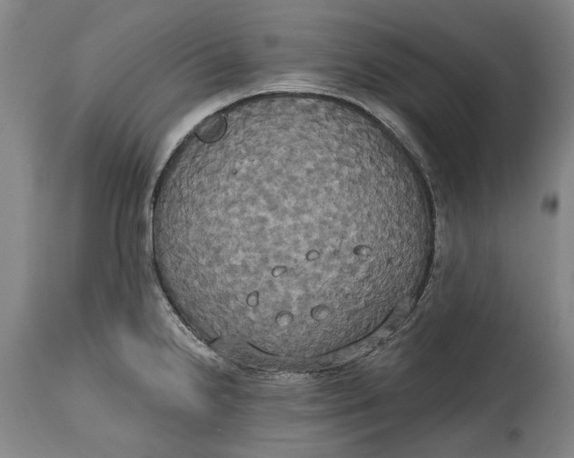 X0000115091238200911171210