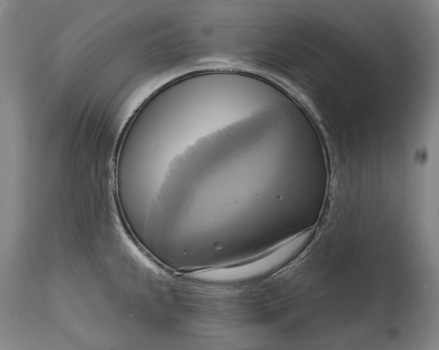 X0000115091239200911171210
