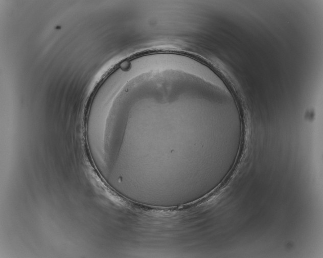 X0000115091240200911171210