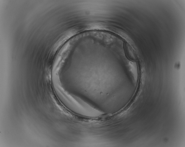X0000115091241200911171210