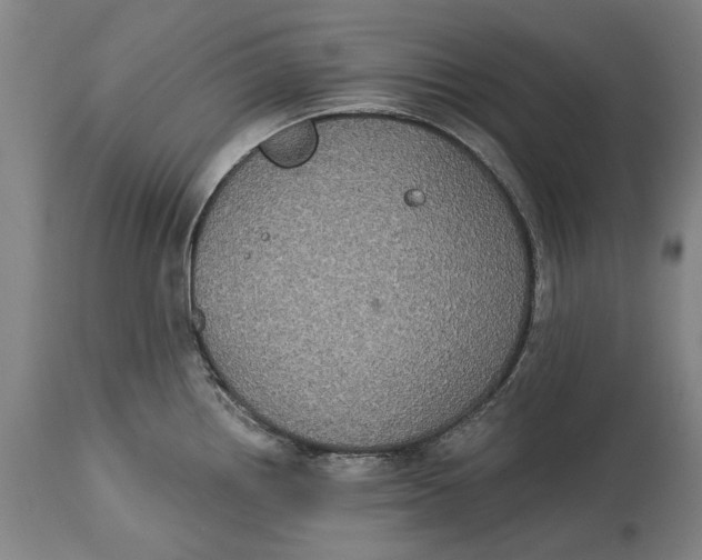 X0000115091242200911171210
