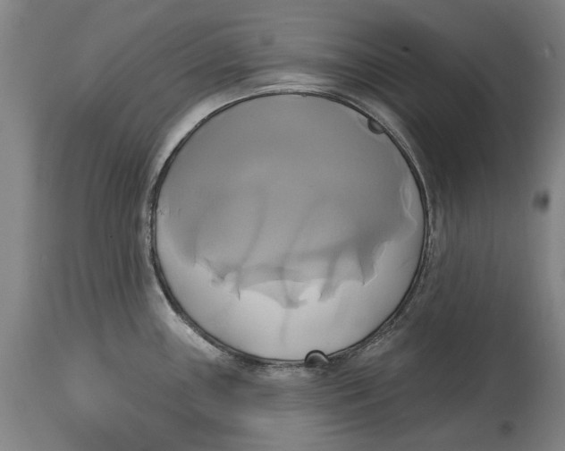 X0000115091243200911171210