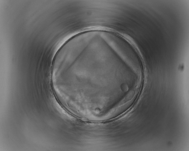 X0000115091244200911171210