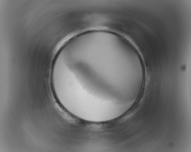X0000115091245200911171210