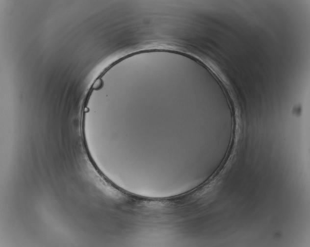 X0000115091246200911171210