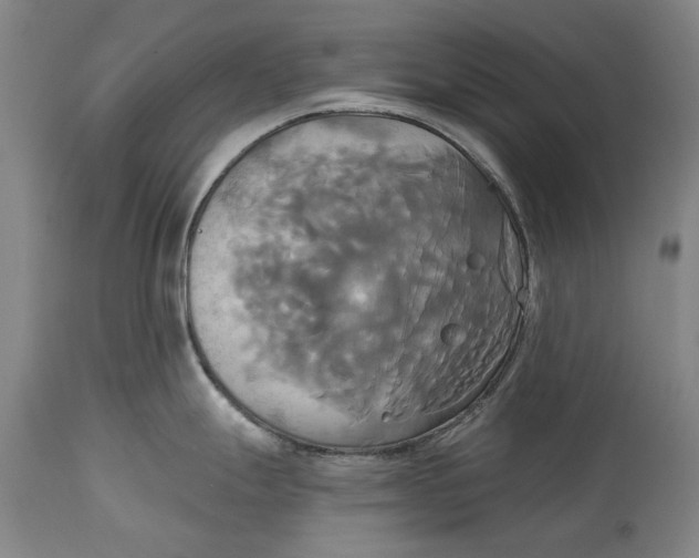 X0000115091247200911171210