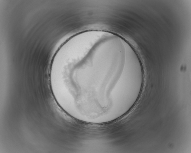 X0000115091248200911171210