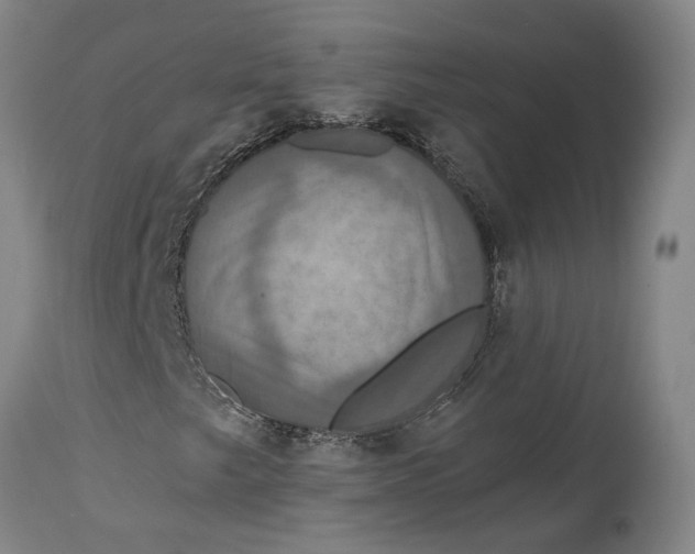 X0000115091249200911171209